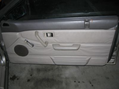 passenger door panel.jpg