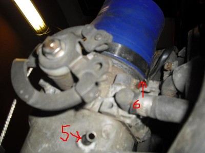 CIMG1566.JPG