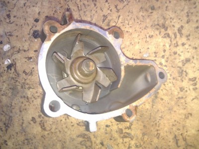 IMG_20121014_173559.jpg (165.81 KiB) Zobrazeno 1690 x IMG_20121014_173559.jpg